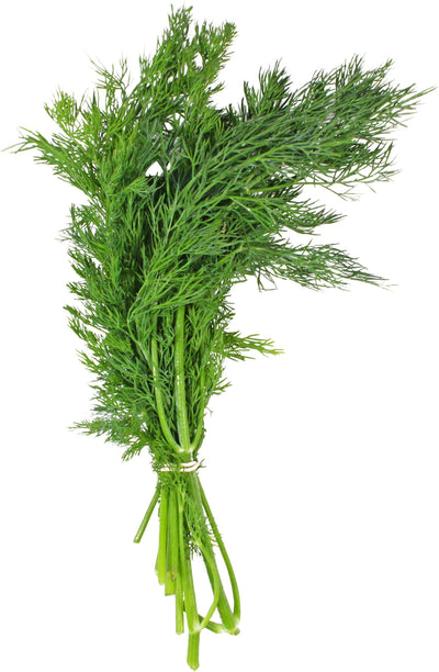 Fresh Dill (Bunch) 🇨🇦