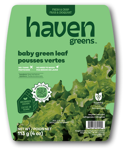 Baby Green Leaf - Haven Greens (Local!)