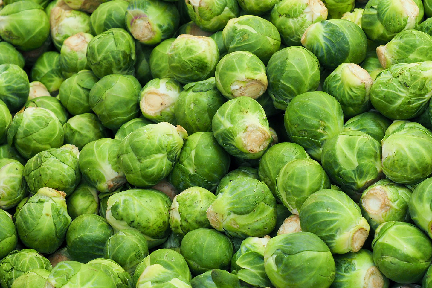 Brussel Sprouts (1 quart)