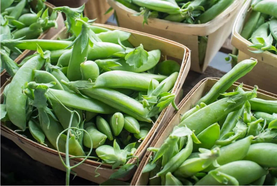 Local Sweet Peas (Shelling) 1 quart π¨π¦