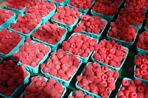 Local Raspberries (Flat of 12)