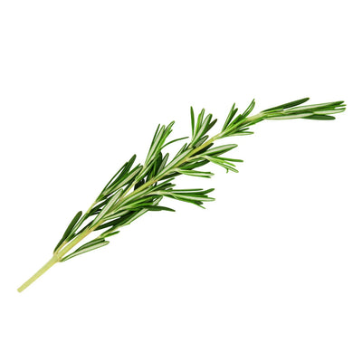 Fresh Rosemary (Bunch) 🇨🇦