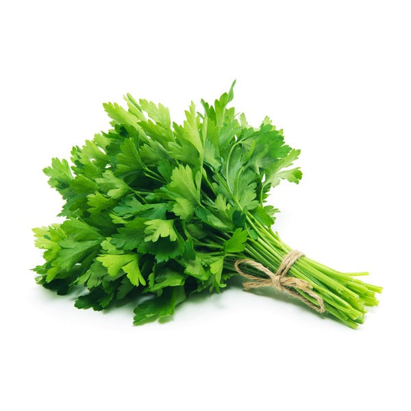 Cilantro π¨π¦