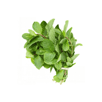 Fresh Mint (Bunch) 🇨🇦
