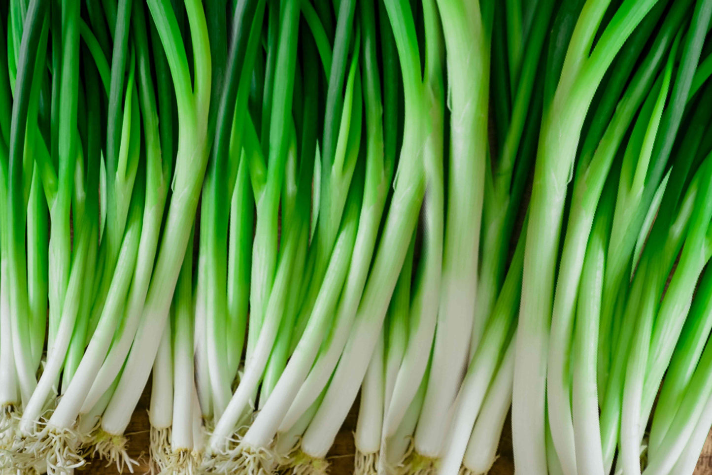 Green Onions (2) 🇨🇦