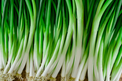 Green Onions (2) 🇨🇦