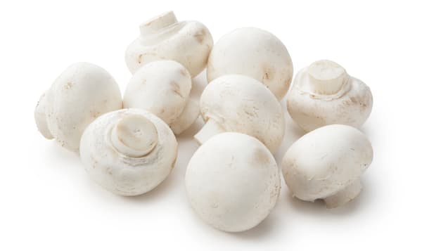 White Cello Mushrooms (8oz) 🇨🇦